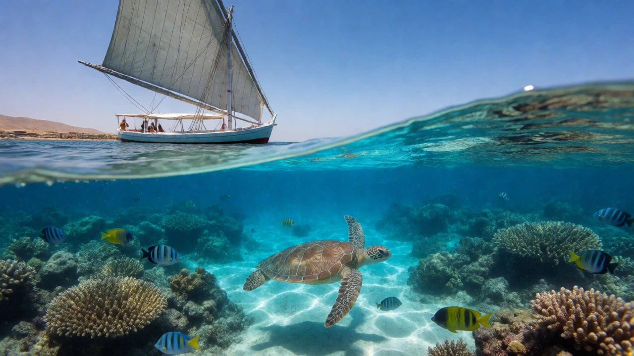 Подводный мир Красного моря с кораллами и черепахой