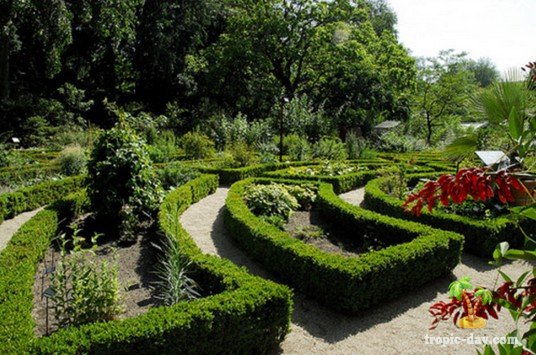 Ортус Ботаникус - старейший ботанический сад в Амстердаме