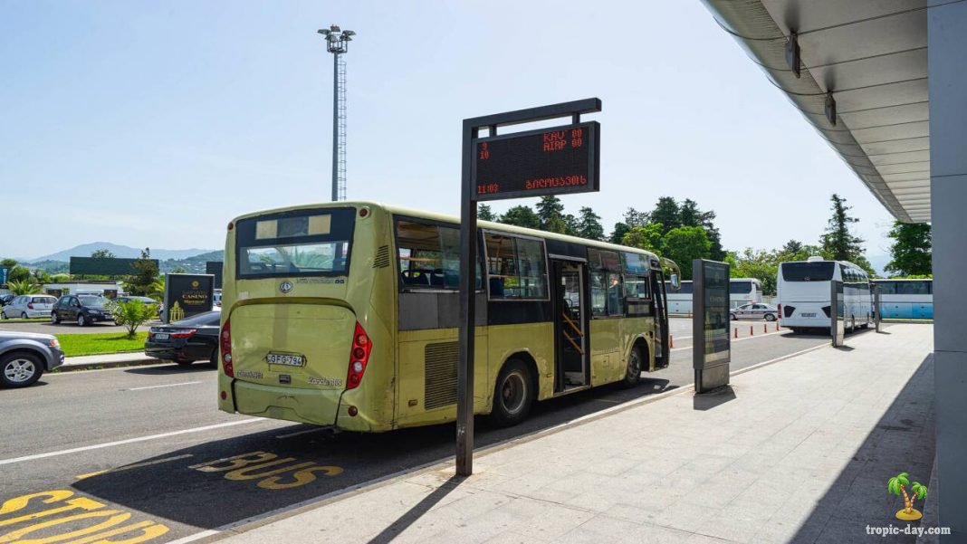 Транспорт Батуми: автобусы, маршрутки и такси. Сколько стоят и как лучше оплачивать проезд?