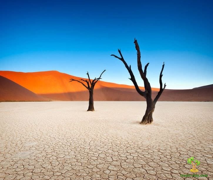 7 самых потрясных мест в Намибии: Свакопмунд, Соссусвлей, парк Этоша, каньон Фиш-Ривер...
