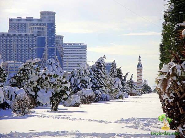 Снег в Баутми 2020. Фото заснеженного Батуми.