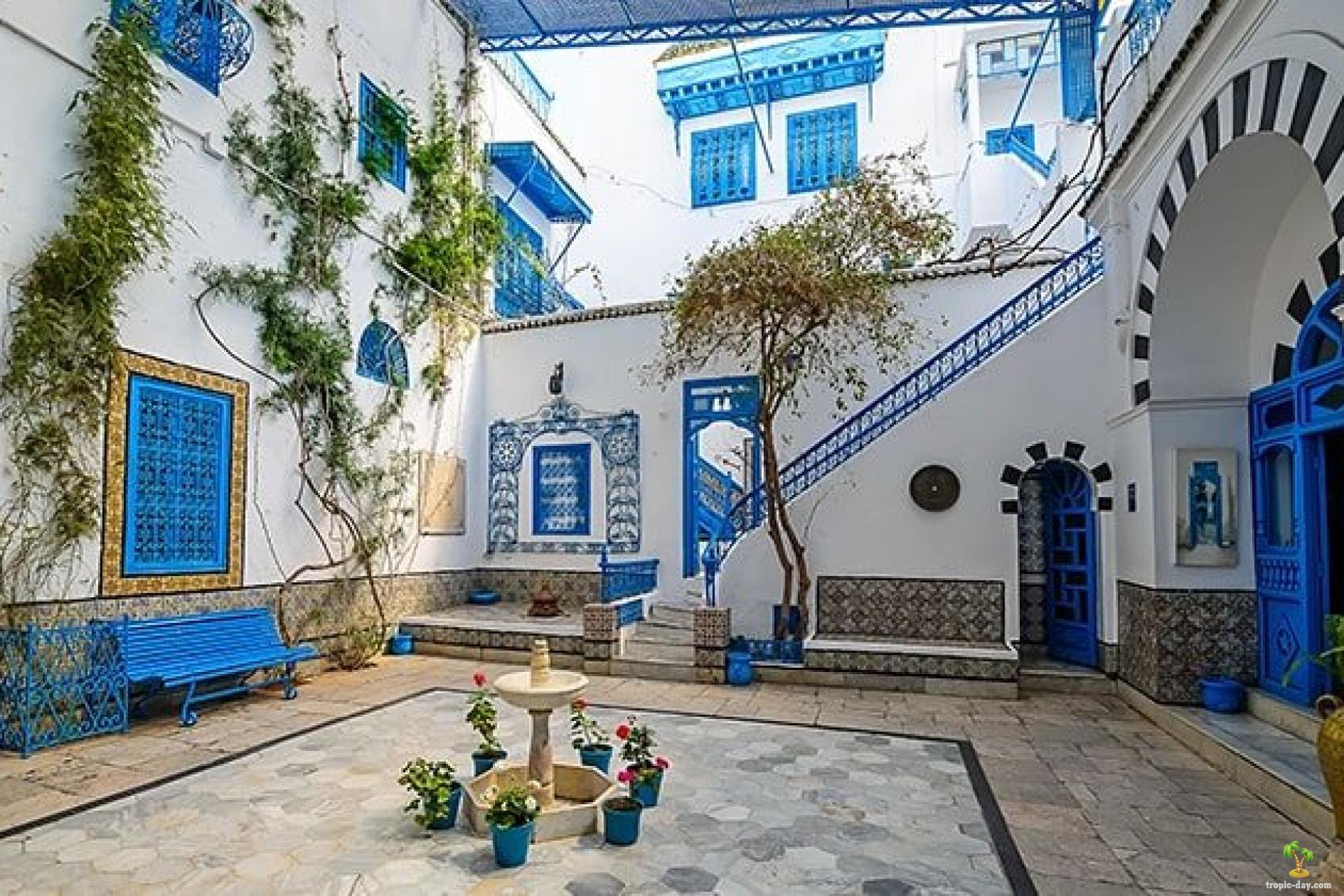 Тунис — маленькая средиземноморская страна, расположенная на севере Африки